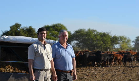 EL MANEJO AJUSTADO PARA UNA GANADERÍA DE PUNTA EL MANEJO AJUSTADO PARA UNA GANADERÍA DE PUNTA
