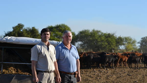 EL MANEJO AJUSTADO PARA UNA GANADERÍA DE PUNTA EL MANEJO AJUSTADO PARA UNA GANADERÍA DE PUNTA