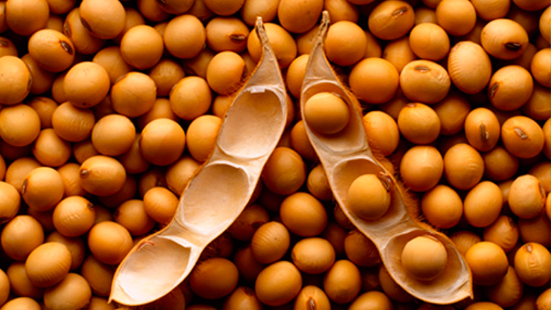 NOTICIAS DE CURSOS Y SEMINARIOS NOTICIAS DE CURSOS Y SEMINARIOS