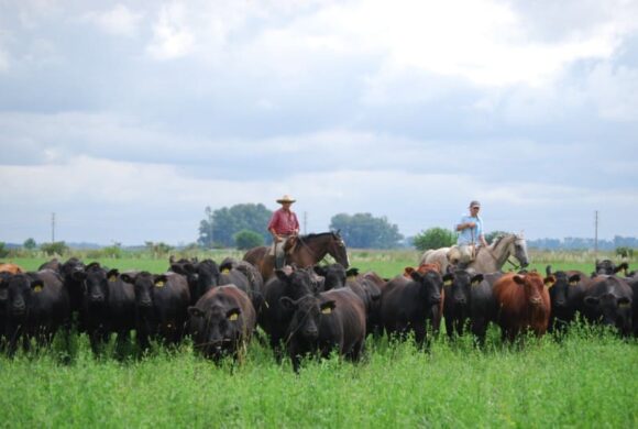La NASA confirma que la Argentina es uno de los pocos países del mundo con balance positivo de carbono La NASA confirma que la Argentina es uno de los pocos países del mundo con balance positivo de carbono