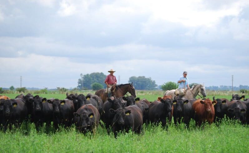 La NASA confirma que la Argentina es uno de los pocos países del mundo con balance positivo de carbono La NASA confirma que la Argentina es uno de los pocos países del mundo con balance positivo de carbono