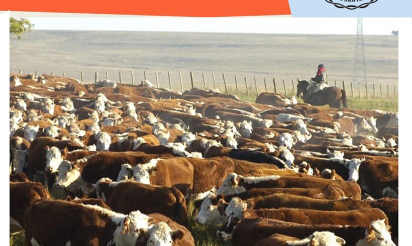 10 de Julio Día de la Ganadería